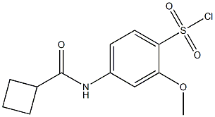 4-cyclobutaneamido-2-methoxybenzene-1-sulfonyl chloride Struktur