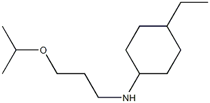 4-ethyl-N-[3-(propan-2-yloxy)propyl]cyclohexan-1-amine Struktur