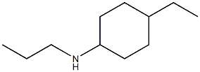 4-ethyl-N-propylcyclohexan-1-amine Struktur