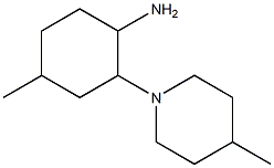 4-methyl-2-(4-methylpiperidin-1-yl)cyclohexanamine Struktur