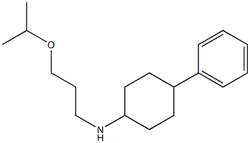 4-phenyl-N-[3-(propan-2-yloxy)propyl]cyclohexan-1-amine Struktur