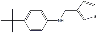 4-tert-butyl-N-(thiophen-3-ylmethyl)aniline Struktur