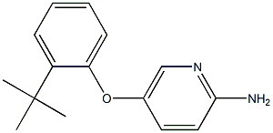 5-(2-tert-butylphenoxy)pyridin-2-amine Struktur