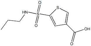 5-(propylsulfamoyl)thiophene-3-carboxylic acid Struktur