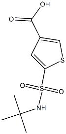 5-(tert-butylsulfamoyl)thiophene-3-carboxylic acid Struktur