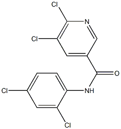 5,6-dichloro-N-(2,4-dichlorophenyl)pyridine-3-carboxamide Struktur