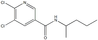 5,6-dichloro-N-(pentan-2-yl)pyridine-3-carboxamide Struktur