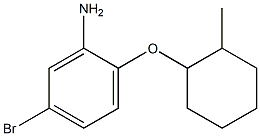 5-bromo-2-[(2-methylcyclohexyl)oxy]aniline Struktur