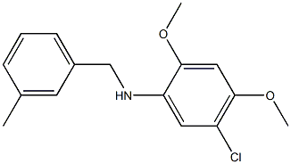 5-chloro-2,4-dimethoxy-N-[(3-methylphenyl)methyl]aniline Struktur