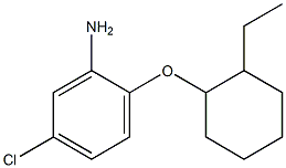 5-chloro-2-[(2-ethylcyclohexyl)oxy]aniline Struktur