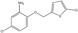 5-chloro-2-[(5-chlorothiophen-2-yl)methoxy]aniline Struktur