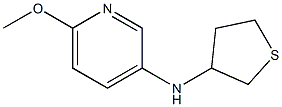 6-methoxy-N-(thiolan-3-yl)pyridin-3-amine Struktur