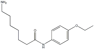 7-amino-N-(4-ethoxyphenyl)heptanamide Struktur