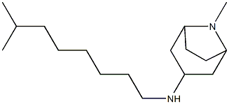 8-methyl-N-(7-methyloctyl)-8-azabicyclo[3.2.1]octan-3-amine Struktur