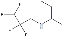 butan-2-yl(2,2,3,3-tetrafluoropropyl)amine Struktur