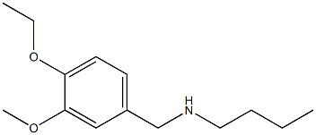 butyl[(4-ethoxy-3-methoxyphenyl)methyl]amine Struktur