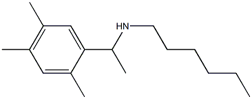 hexyl[1-(2,4,5-trimethylphenyl)ethyl]amine Struktur