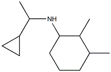 N-(1-cyclopropylethyl)-2,3-dimethylcyclohexan-1-amine Struktur