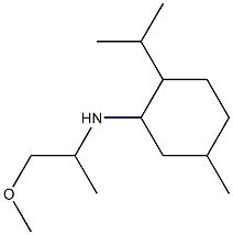 N-(1-methoxypropan-2-yl)-5-methyl-2-(propan-2-yl)cyclohexan-1-amine Struktur