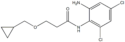 N-(2-amino-4,6-dichlorophenyl)-3-(cyclopropylmethoxy)propanamide Struktur