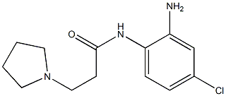 N-(2-amino-4-chlorophenyl)-3-pyrrolidin-1-ylpropanamide Struktur