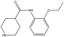 N-(2-ethoxyphenyl)piperidine-4-carboxamide Struktur