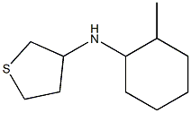 N-(2-methylcyclohexyl)thiolan-3-amine Struktur