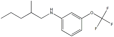 N-(2-methylpentyl)-3-(trifluoromethoxy)aniline Struktur