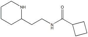 N-(2-piperidin-2-ylethyl)cyclobutanecarboxamide Struktur