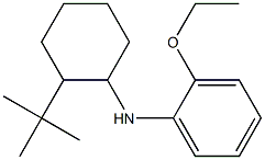 N-(2-tert-butylcyclohexyl)-2-ethoxyaniline Struktur