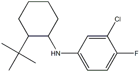 N-(2-tert-butylcyclohexyl)-3-chloro-4-fluoroaniline Struktur