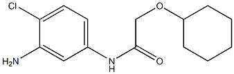 N-(3-amino-4-chlorophenyl)-2-(cyclohexyloxy)acetamide Struktur