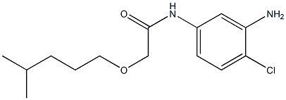 N-(3-amino-4-chlorophenyl)-2-[(4-methylpentyl)oxy]acetamide Struktur