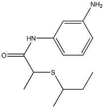 N-(3-aminophenyl)-2-(butan-2-ylsulfanyl)propanamide Struktur