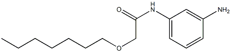 N-(3-aminophenyl)-2-(heptyloxy)acetamide Struktur