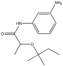 N-(3-aminophenyl)-2-[(2-methylbutan-2-yl)oxy]propanamide Struktur