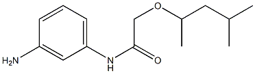 N-(3-aminophenyl)-2-[(4-methylpentan-2-yl)oxy]acetamide Struktur