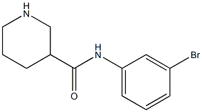 N-(3-bromophenyl)piperidine-3-carboxamide Struktur