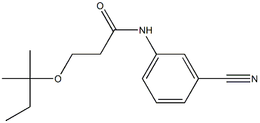 N-(3-cyanophenyl)-3-[(2-methylbutan-2-yl)oxy]propanamide Struktur