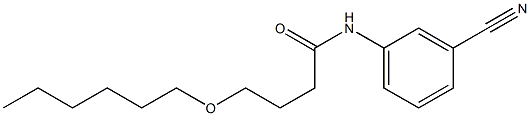 N-(3-cyanophenyl)-4-(hexyloxy)butanamide Struktur