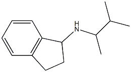 N-(3-methylbutan-2-yl)-2,3-dihydro-1H-inden-1-amine Struktur