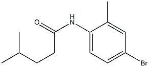 N-(4-bromo-2-methylphenyl)-4-methylpentanamide Struktur