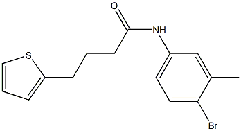 N-(4-bromo-3-methylphenyl)-4-(thiophen-2-yl)butanamide Struktur