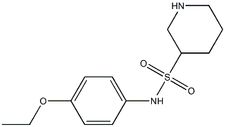 N-(4-ethoxyphenyl)piperidine-3-sulfonamide Struktur