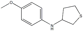 N-(4-methoxyphenyl)thiolan-3-amine Struktur