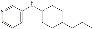 N-(4-propylcyclohexyl)pyridin-3-amine Struktur