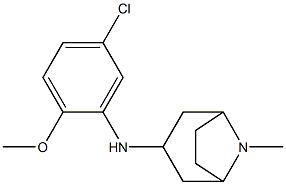 N-(5-chloro-2-methoxyphenyl)-8-methyl-8-azabicyclo[3.2.1]octan-3-amine Struktur