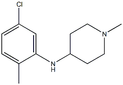 N-(5-chloro-2-methylphenyl)-1-methylpiperidin-4-amine Struktur