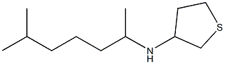 N-(6-methylheptan-2-yl)thiolan-3-amine Struktur