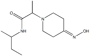 N-(butan-2-yl)-2-[4-(hydroxyimino)piperidin-1-yl]propanamide Struktur